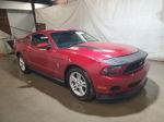 2011 Ford Mustang  Red vin: 1ZVBP8AM7B5153207