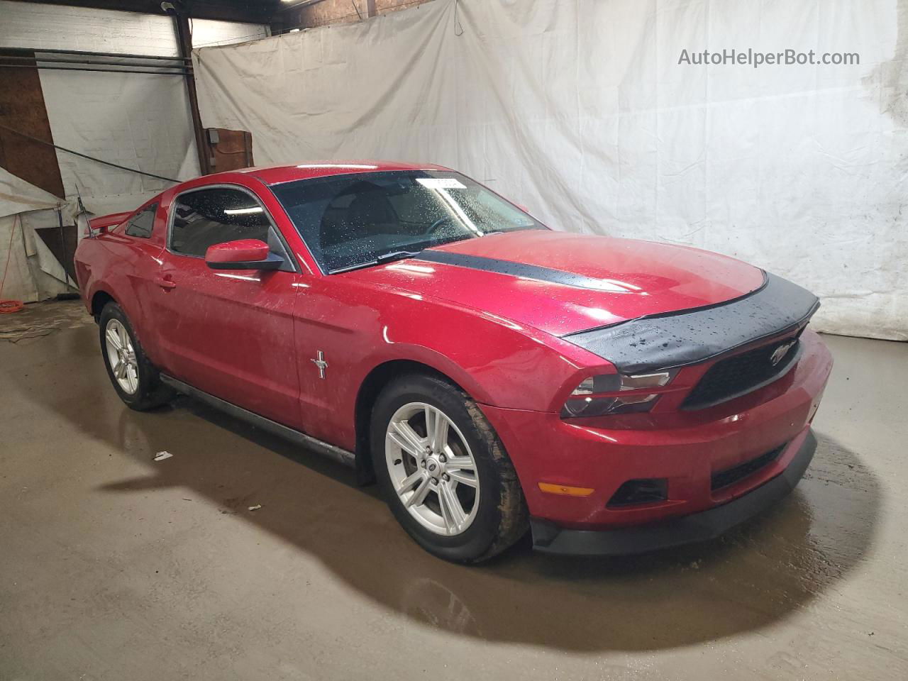 2011 Ford Mustang  Red vin: 1ZVBP8AM7B5153207
