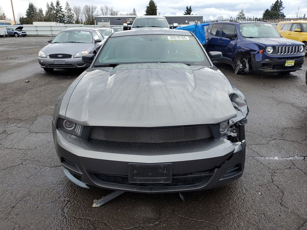 2011 Ford Mustang  Gray vin: 1ZVBP8AM7B5163350