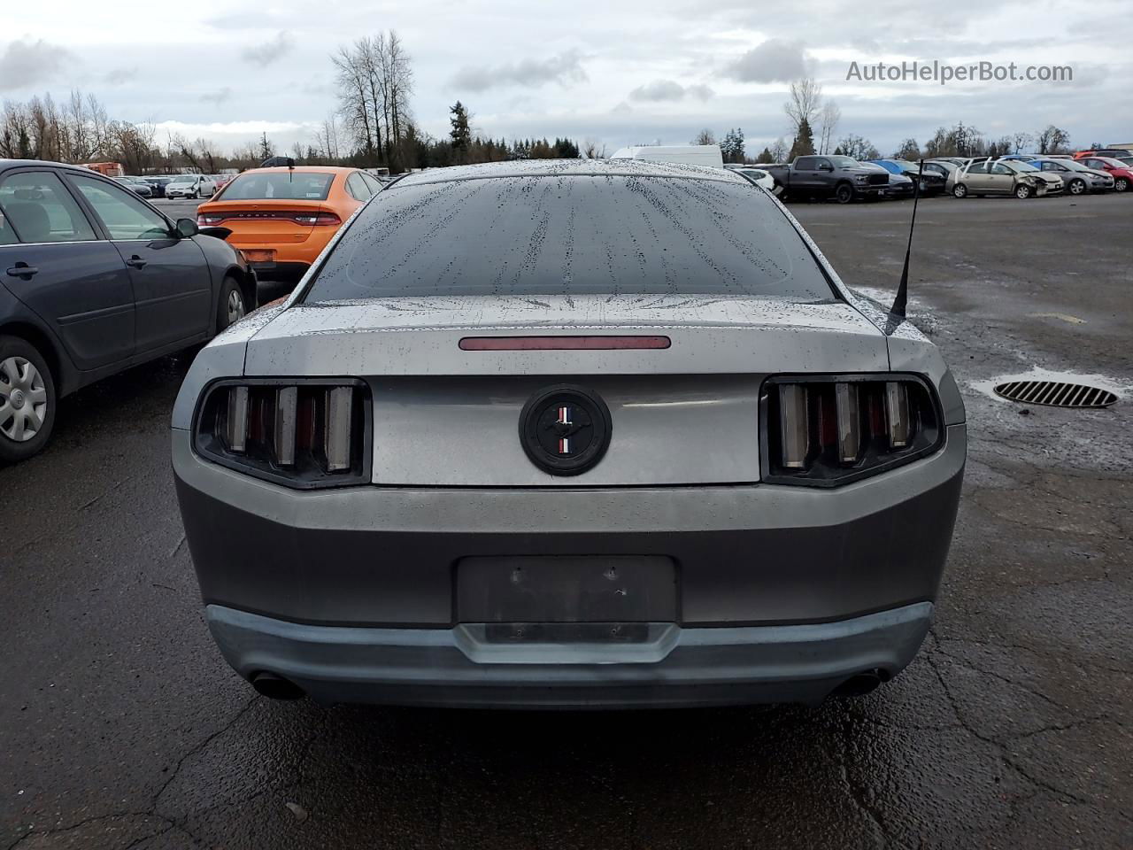 2011 Ford Mustang  Gray vin: 1ZVBP8AM7B5163350