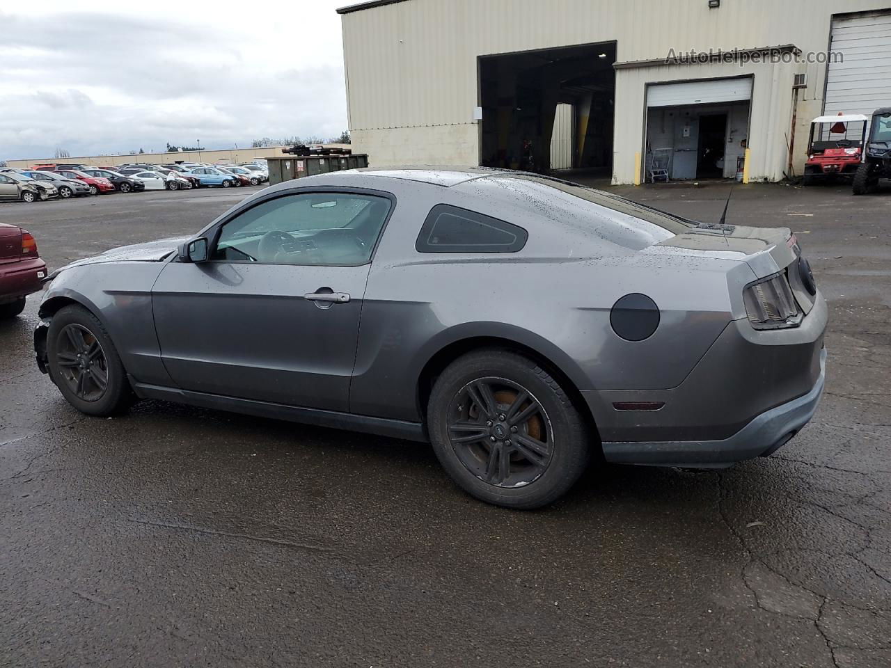 2011 Ford Mustang  Gray vin: 1ZVBP8AM7B5163350