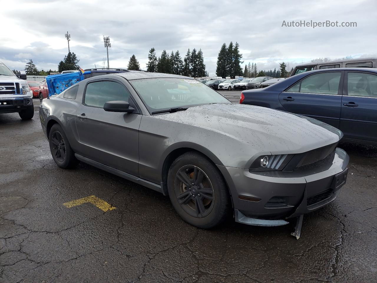 2011 Ford Mustang  Gray vin: 1ZVBP8AM7B5163350