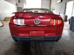 2011 Ford Mustang  Красный vin: 1ZVBP8AM8B5144922