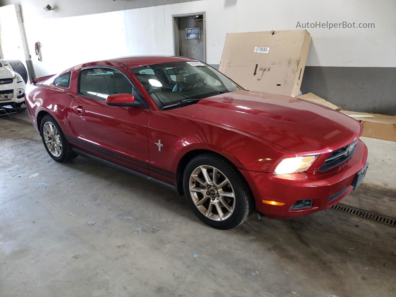 2011 Ford Mustang  Красный vin: 1ZVBP8AM8B5144922