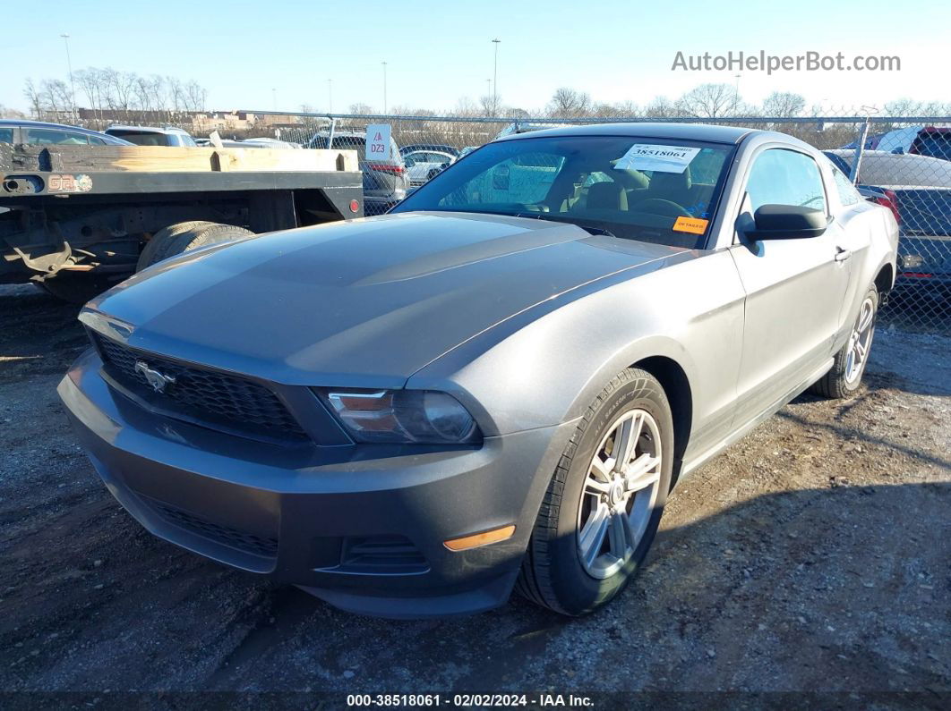 2011 Ford Mustang V6 Gray vin: 1ZVBP8AM8B5153684