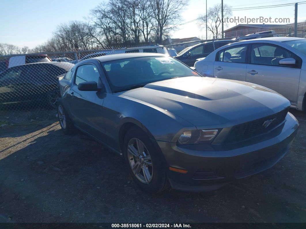 2011 Ford Mustang V6 Серый vin: 1ZVBP8AM8B5153684