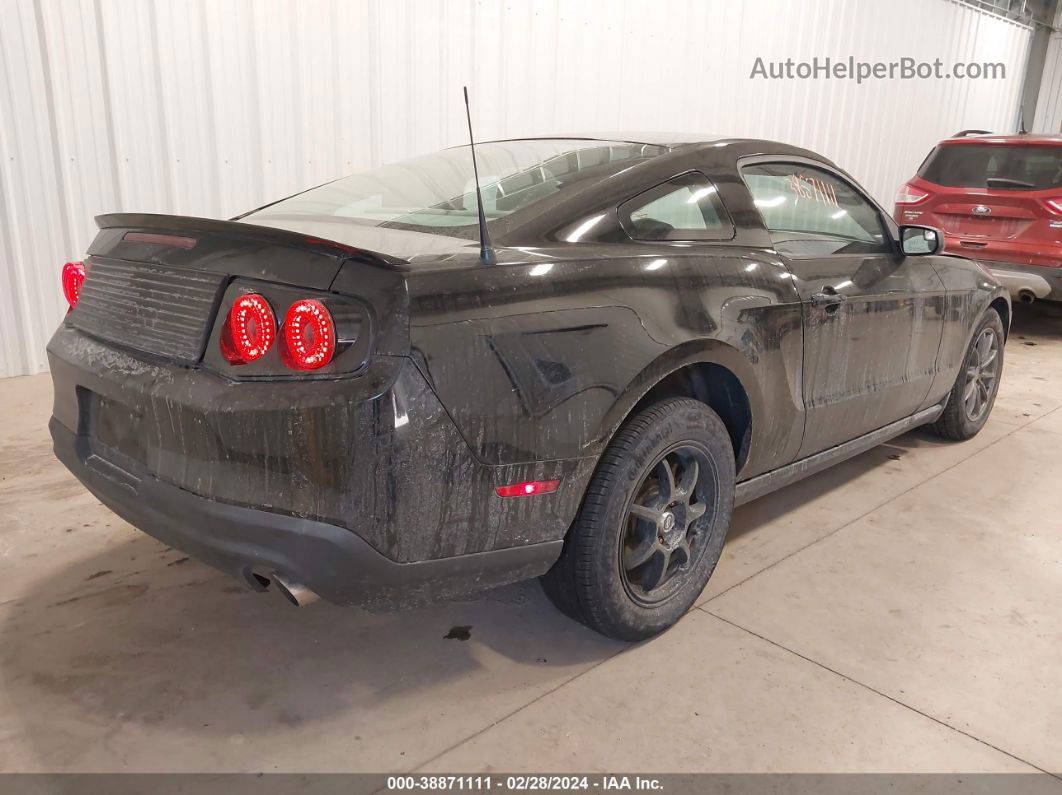 2011 Ford Mustang V6 Black vin: 1ZVBP8AM8B5158545