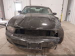 2011 Ford Mustang V6 Черный vin: 1ZVBP8AM8B5158545