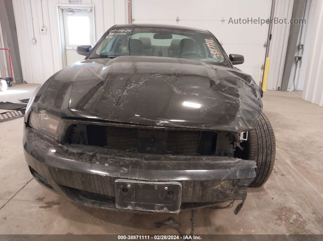 2011 Ford Mustang V6 Black vin: 1ZVBP8AM8B5158545