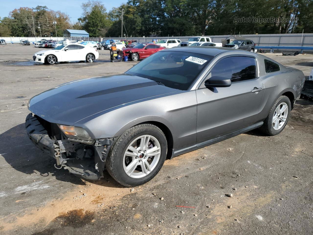 2011 Ford Mustang  Gray vin: 1ZVBP8AM8B5158853