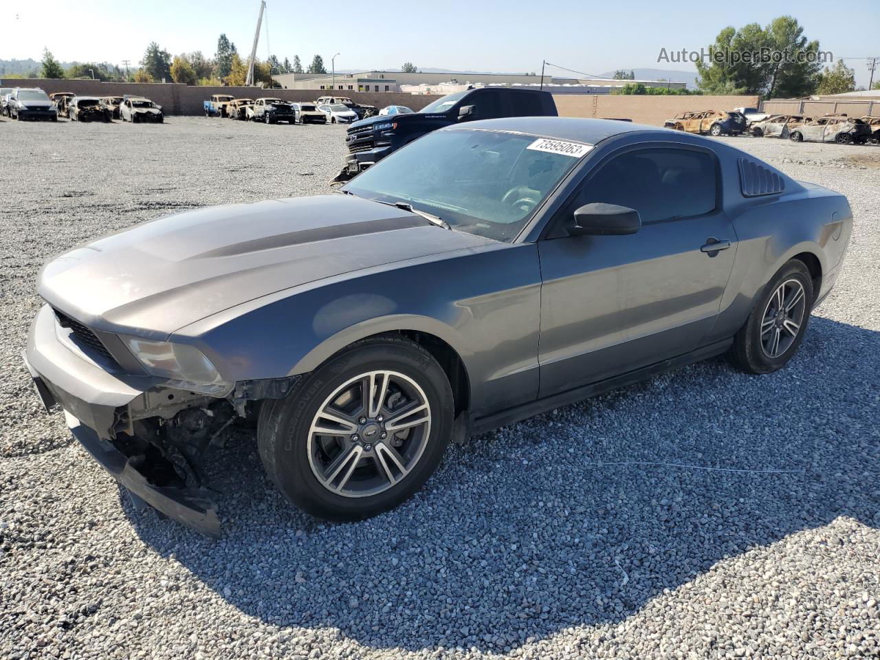 2011 Ford Mustang  Серый vin: 1ZVBP8AM8B5166421