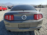 2011 Ford Mustang  Серый vin: 1ZVBP8AM8B5166421