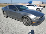 2011 Ford Mustang  Серый vin: 1ZVBP8AM8B5166421