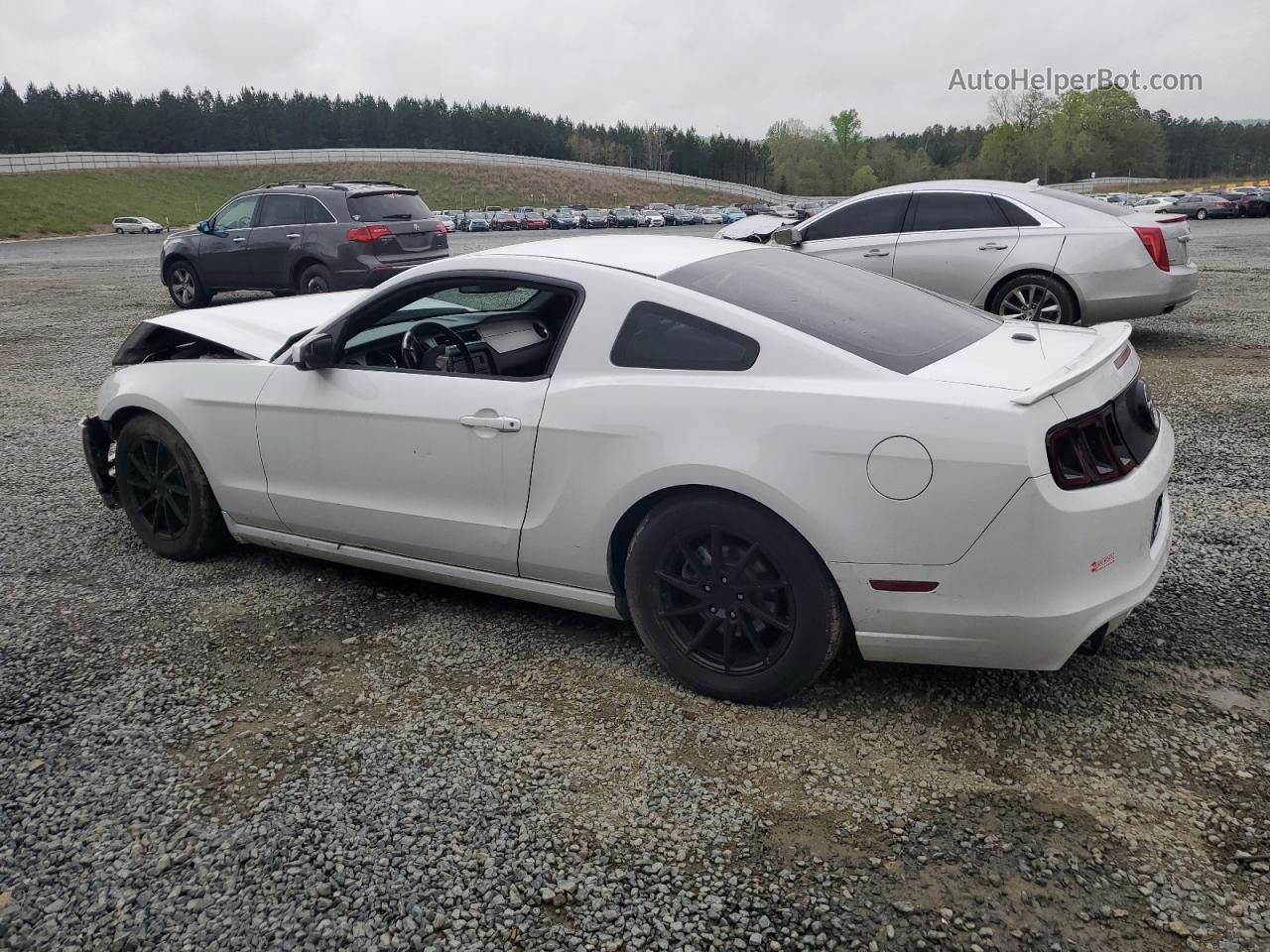 2014 Ford Mustang  White vin: 1ZVBP8AM8E5201916