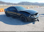 2011 Ford Mustang V6 Premium Black vin: 1ZVBP8AM9B5119429