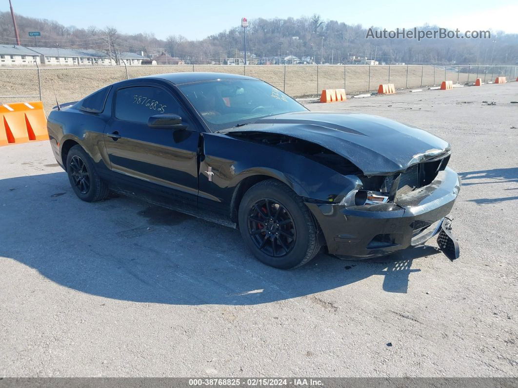 2011 Ford Mustang V6 Premium Black vin: 1ZVBP8AM9B5119429