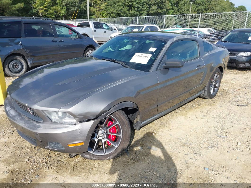 2011 Ford Mustang V6 Premium Серый vin: 1ZVBP8AM9B5119740