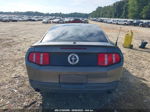 2011 Ford Mustang V6 Premium Gray vin: 1ZVBP8AM9B5119740