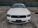 2011 Ford Mustang  White vin: 1ZVBP8AM9B5122329