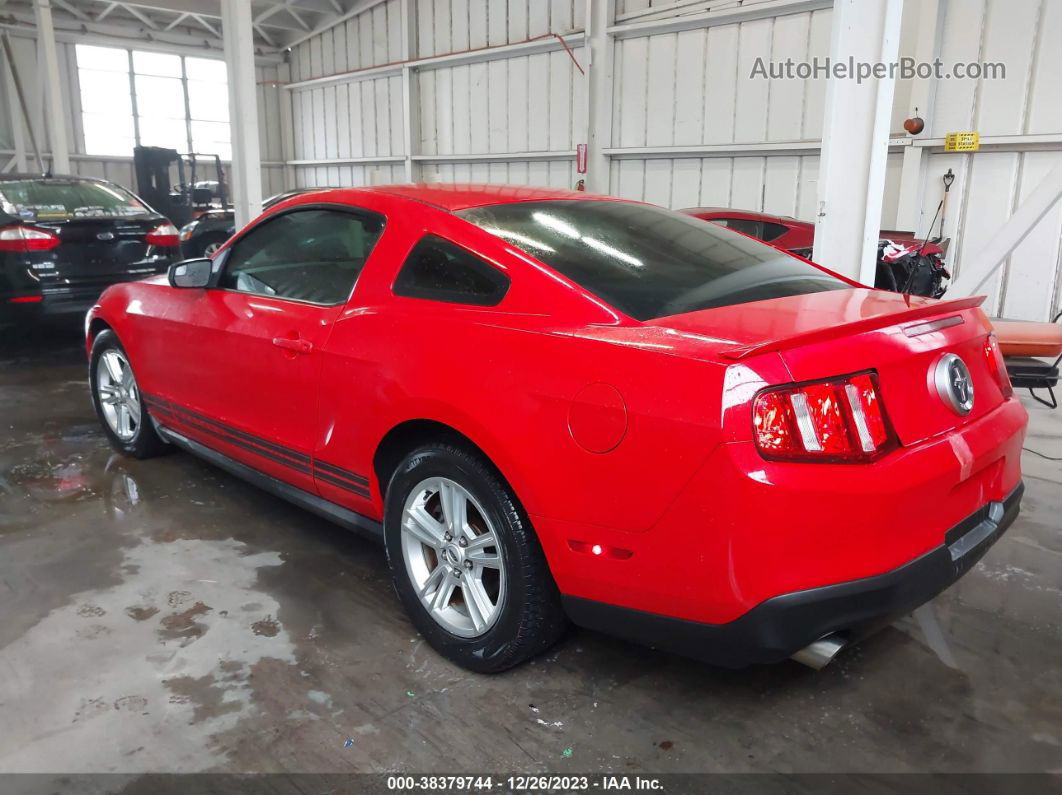 2011 Ford Mustang V6 Red vin: 1ZVBP8AM9B5125988