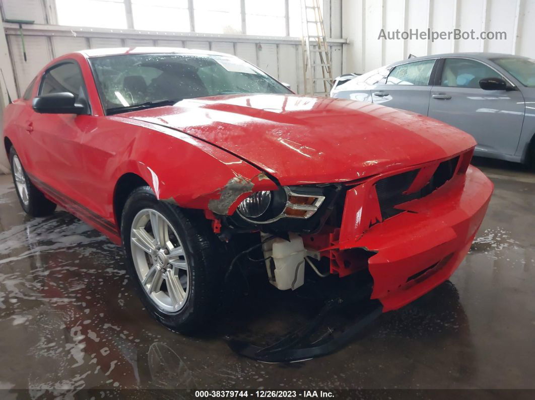 2011 Ford Mustang V6 Red vin: 1ZVBP8AM9B5125988