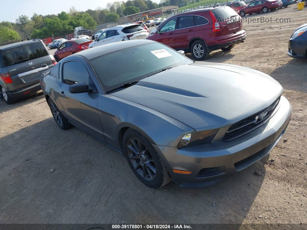 2011 Ford Mustang V6 Premium Gray vin: 1ZVBP8AM9B5141091