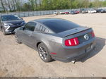 2011 Ford Mustang V6 Premium Gray vin: 1ZVBP8AM9B5141091