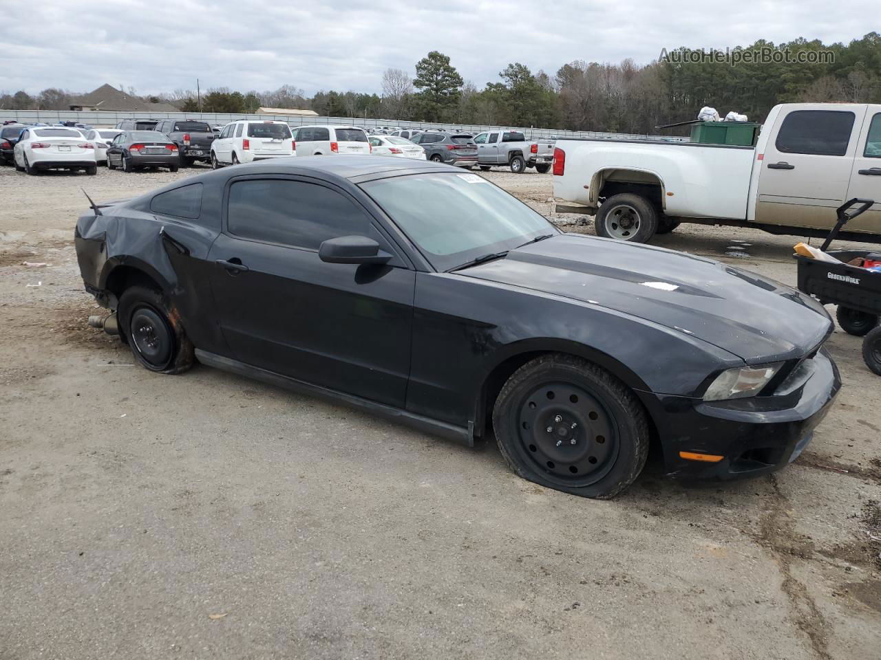 2011 Ford Mustang  Черный vin: 1ZVBP8AM9B5150955