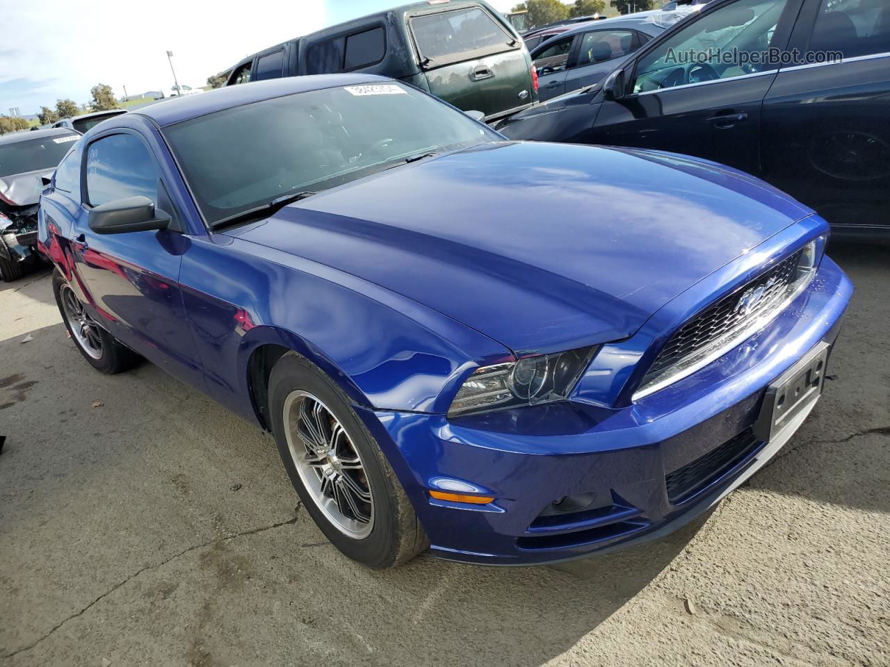 2014 Ford Mustang  Blue vin: 1ZVBP8AM9E5288841