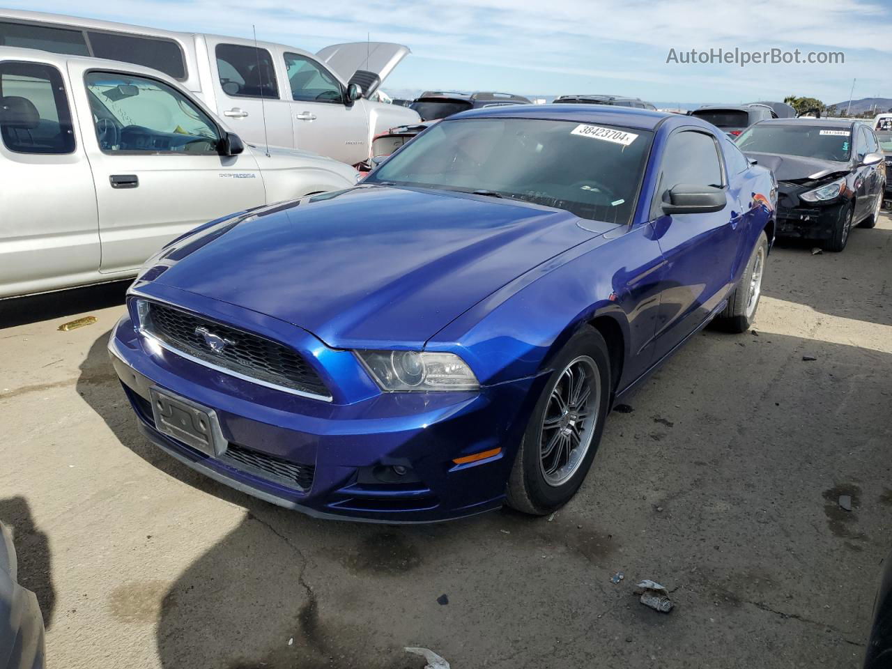 2014 Ford Mustang  Blue vin: 1ZVBP8AM9E5288841