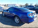 2014 Ford Mustang V6 Blue vin: 1ZVBP8AM9E5295854
