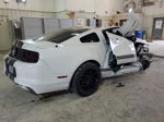 2014 Ford Mustang  White vin: 1ZVBP8AM9E5309848