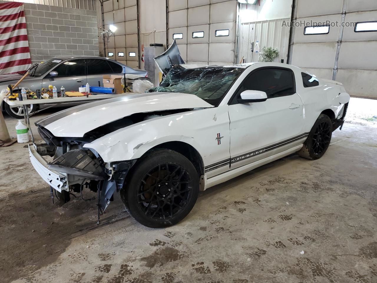 2014 Ford Mustang  White vin: 1ZVBP8AM9E5309848