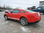 2011 Ford Mustang  Red vin: 1ZVBP8AMXB5105247