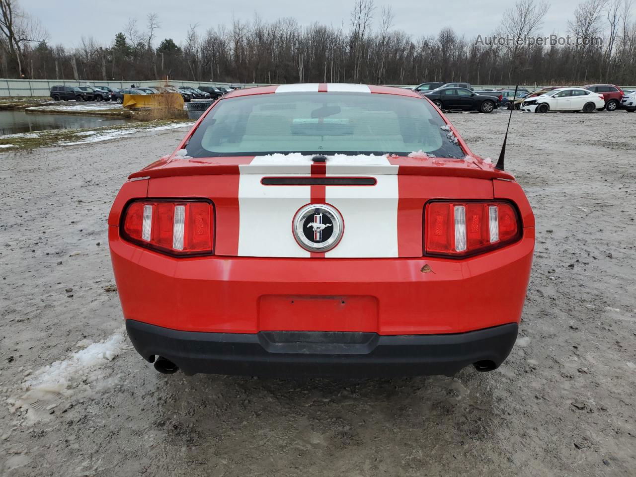 2011 Ford Mustang  Red vin: 1ZVBP8AMXB5105247