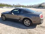 2011 Ford Mustang  Gray vin: 1ZVBP8AMXB5106186