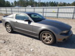 2011 Ford Mustang  Gray vin: 1ZVBP8AMXB5106186