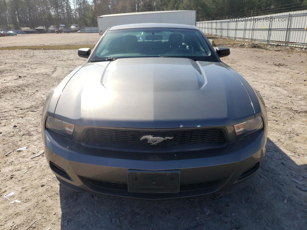 2011 Ford Mustang  Gray vin: 1ZVBP8AMXB5106186