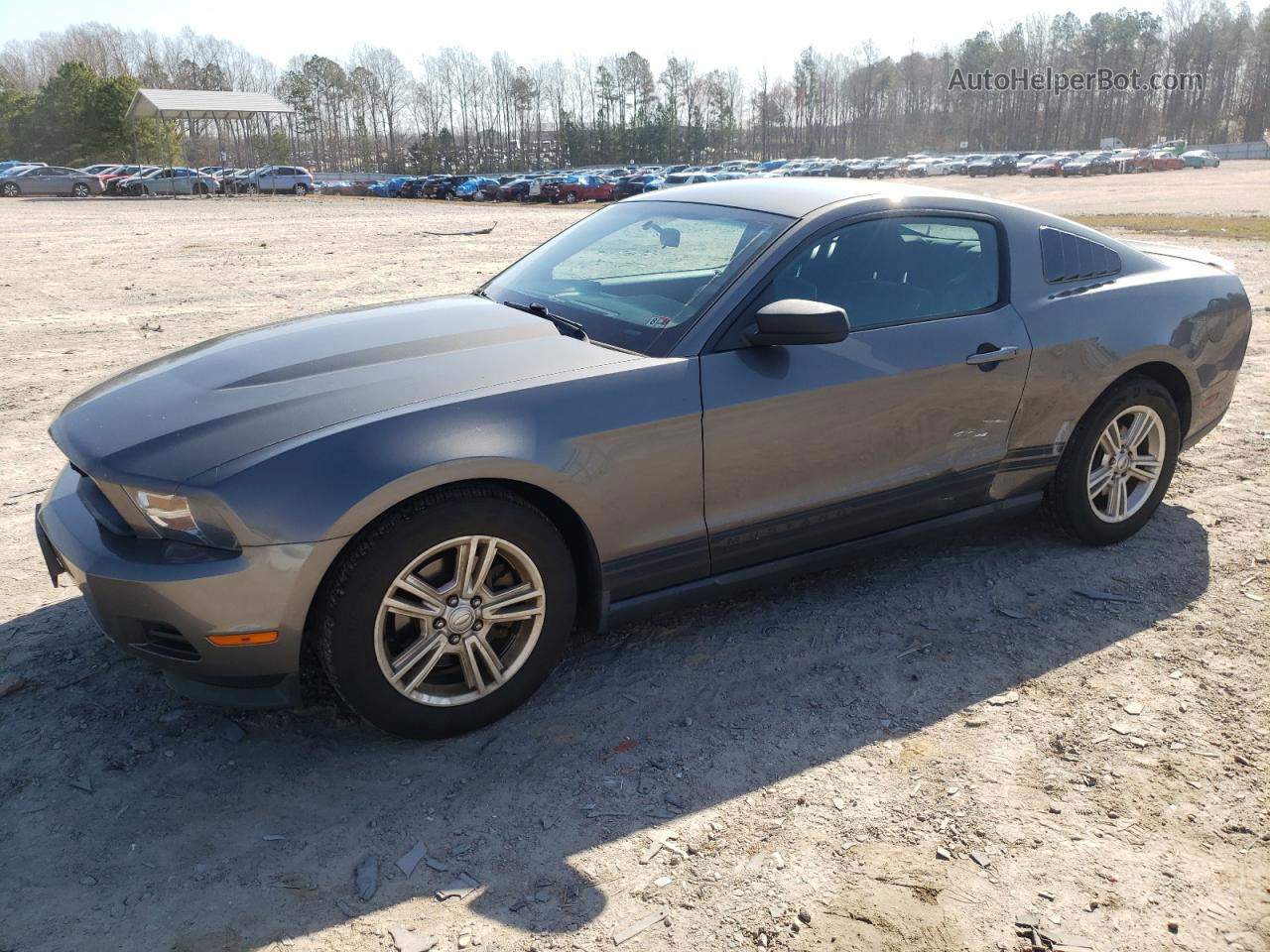 2011 Ford Mustang  Gray vin: 1ZVBP8AMXB5106186