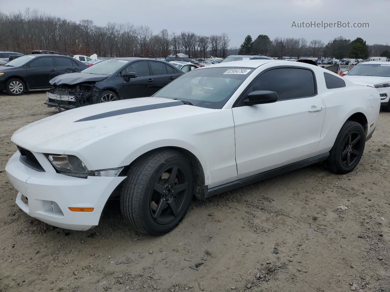 2011 Ford Mustang  White vin: 1ZVBP8AMXB5115549