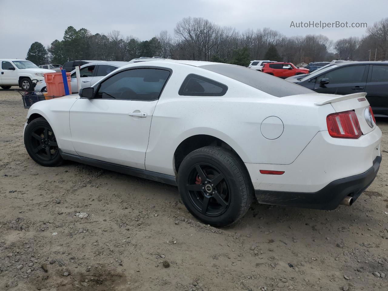 2011 Ford Mustang  White vin: 1ZVBP8AMXB5115549