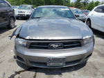 2011 Ford Mustang  Gray vin: 1ZVBP8AMXB5129726