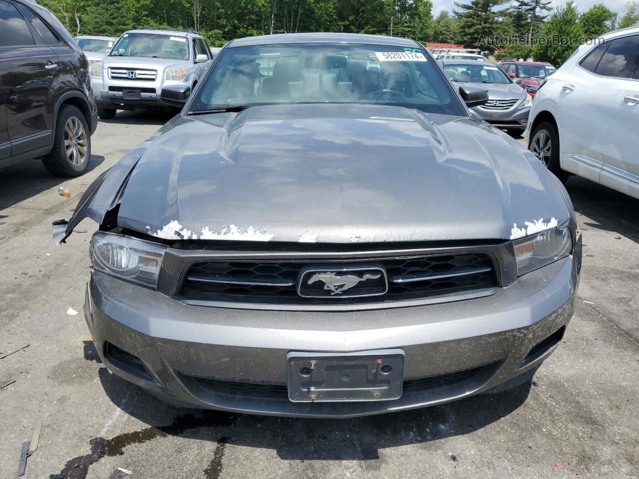 2011 Ford Mustang  Gray vin: 1ZVBP8AMXB5129726