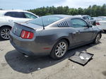 2011 Ford Mustang  Gray vin: 1ZVBP8AMXB5129726