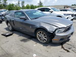 2011 Ford Mustang  Gray vin: 1ZVBP8AMXB5129726