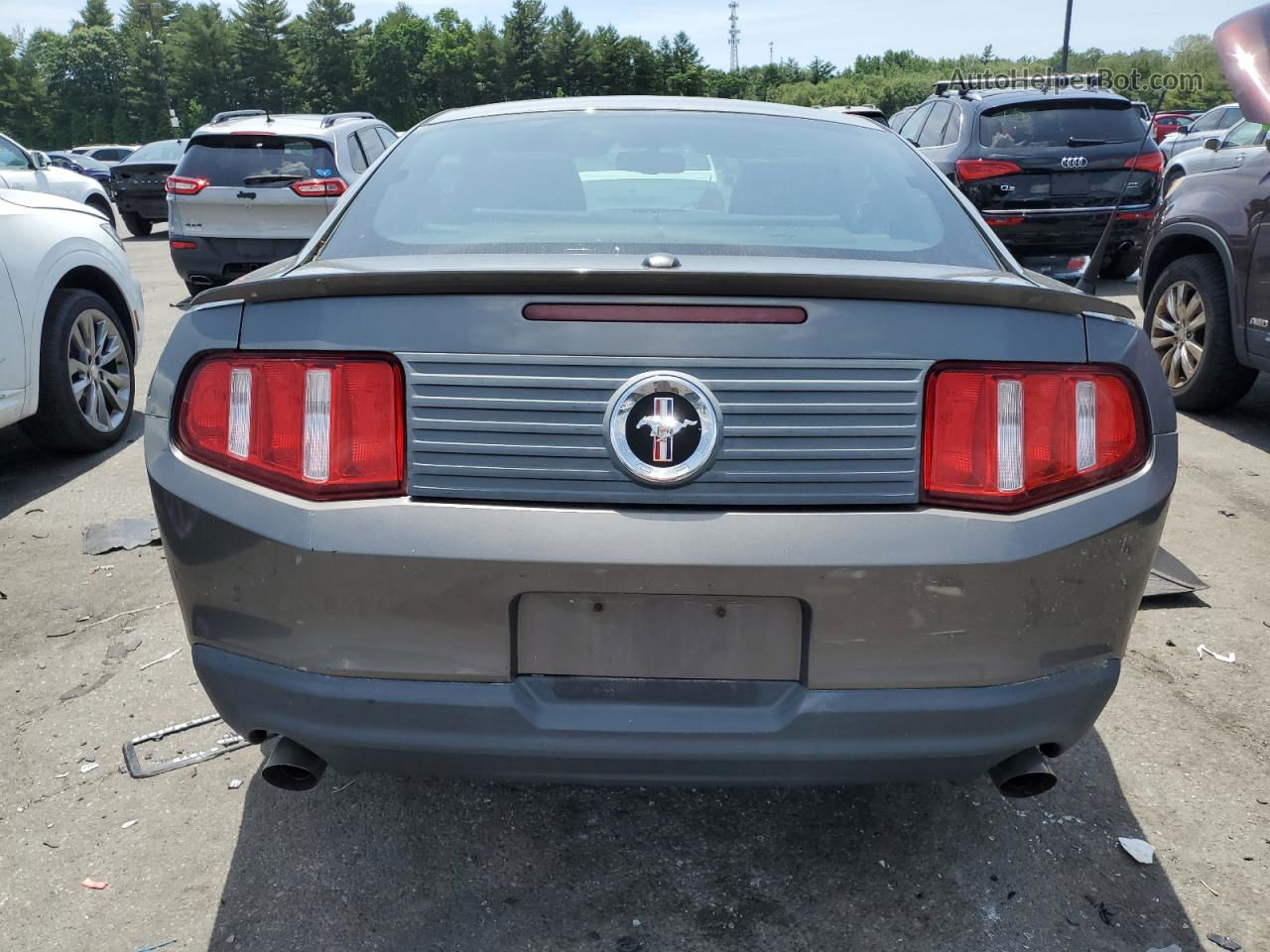 2011 Ford Mustang  Gray vin: 1ZVBP8AMXB5129726