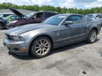 2011 Ford Mustang  Gray vin: 1ZVBP8AMXB5129726