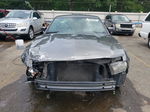 2011 Ford Mustang  Gray vin: 1ZVBP8AMXB5146378