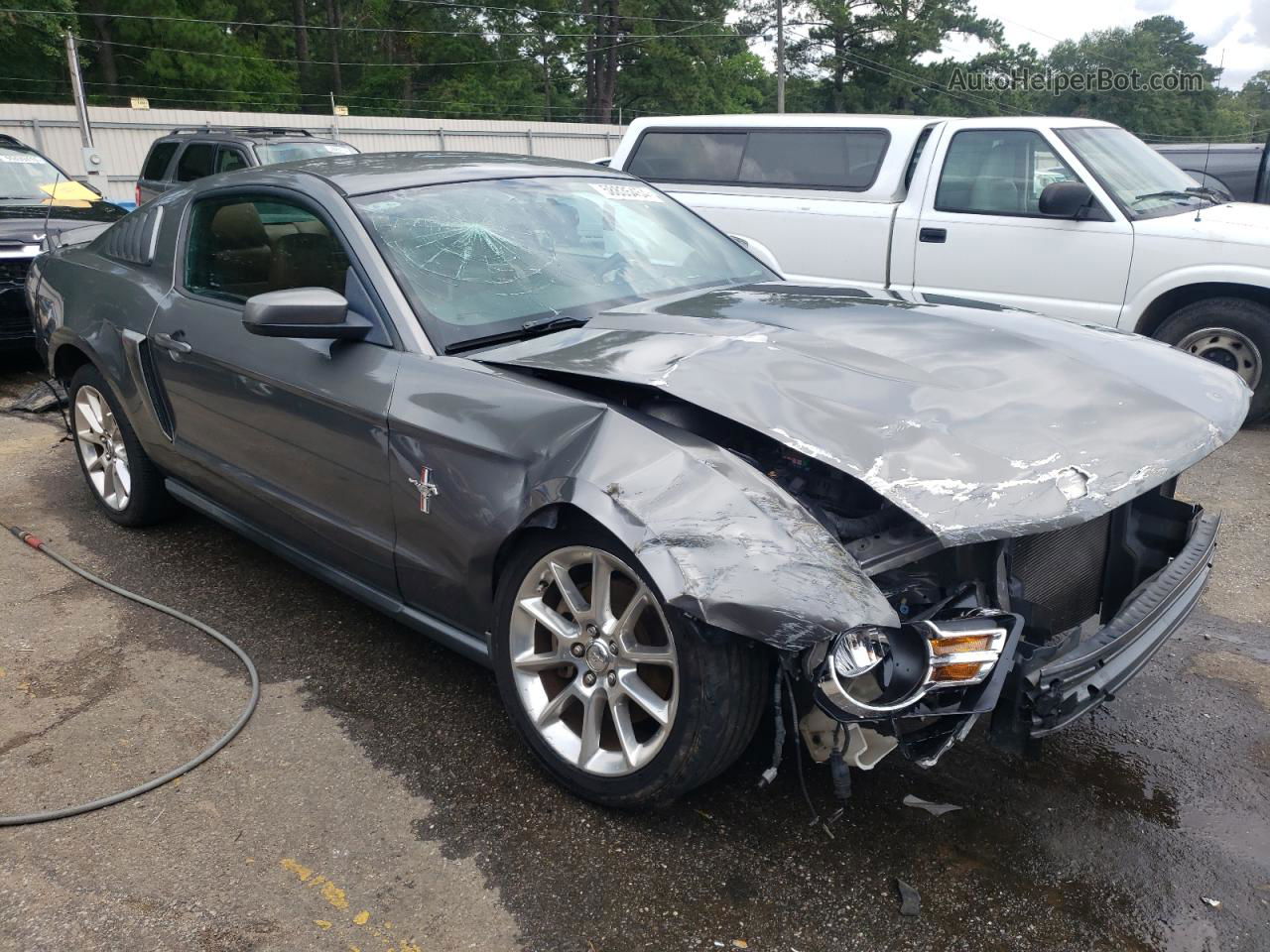 2011 Ford Mustang  Gray vin: 1ZVBP8AMXB5146378