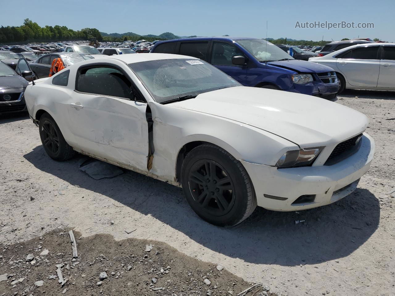 2011 Ford Mustang  White vin: 1ZVBP8AMXB5152892